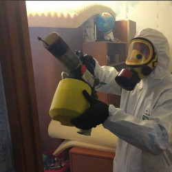 Уничтожение клопов в квартире. Семилуки